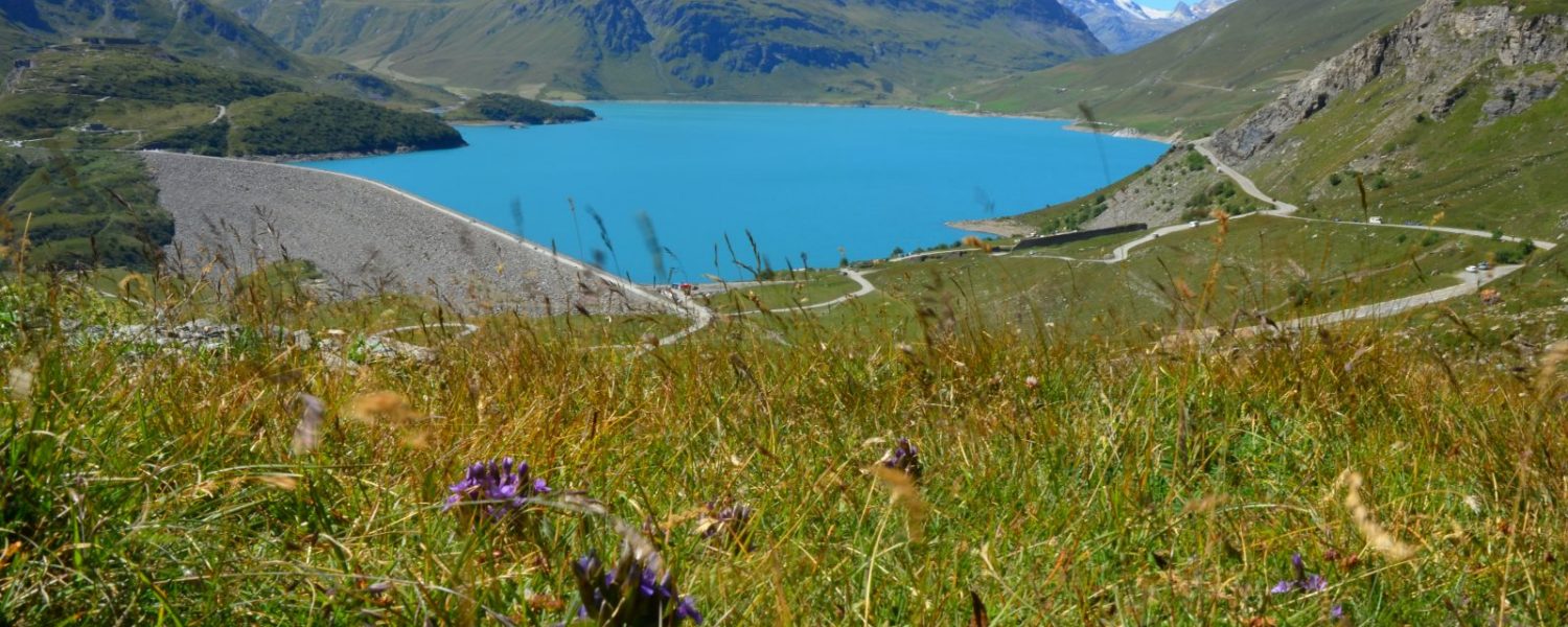 Randonnées camping Les Mélèzes-La Fennaz