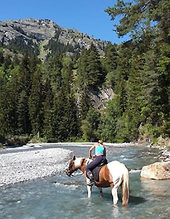 Auvergne Rhône-Alpes camping Les Mélèzes-La Fennaz